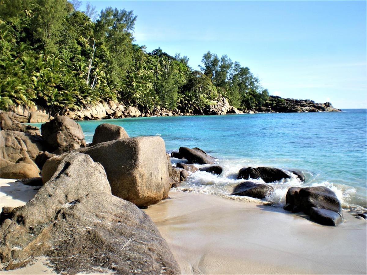 Seychelles Yellow Petals Anse Boileau Bagian luar foto
