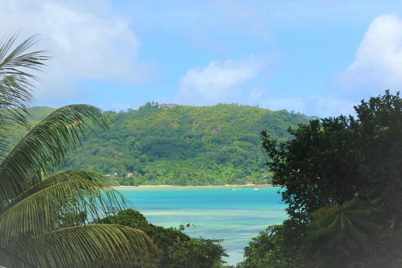 Seychelles Yellow Petals Anse Boileau Bagian luar foto
