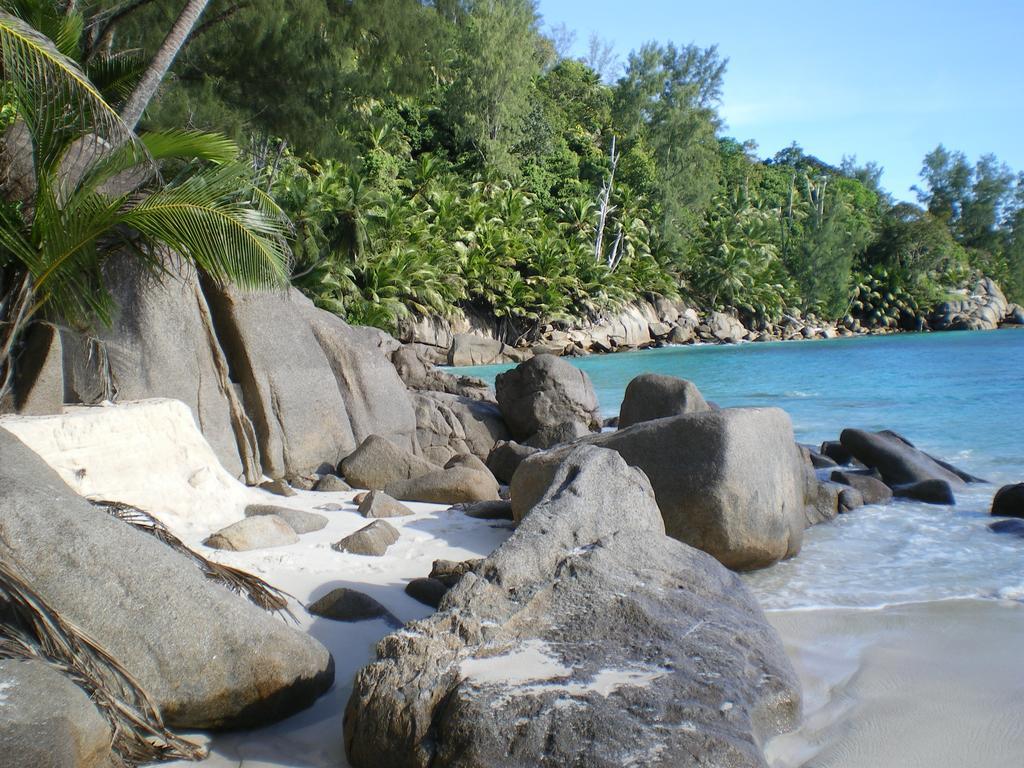 Seychelles Yellow Petals Anse Boileau Bagian luar foto