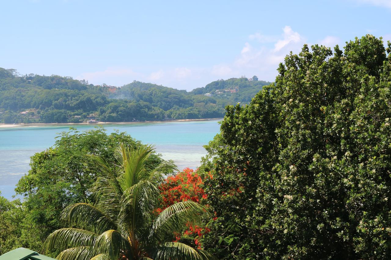 Seychelles Yellow Petals Anse Boileau Bagian luar foto